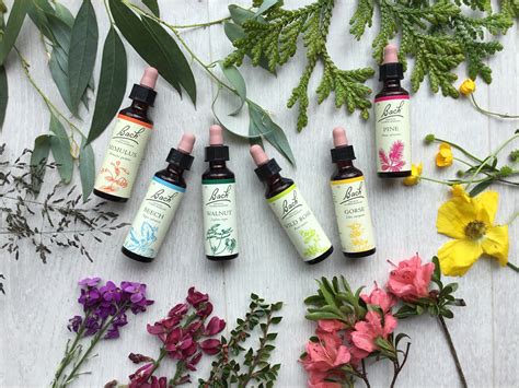 Reflexology & Bach Flowers